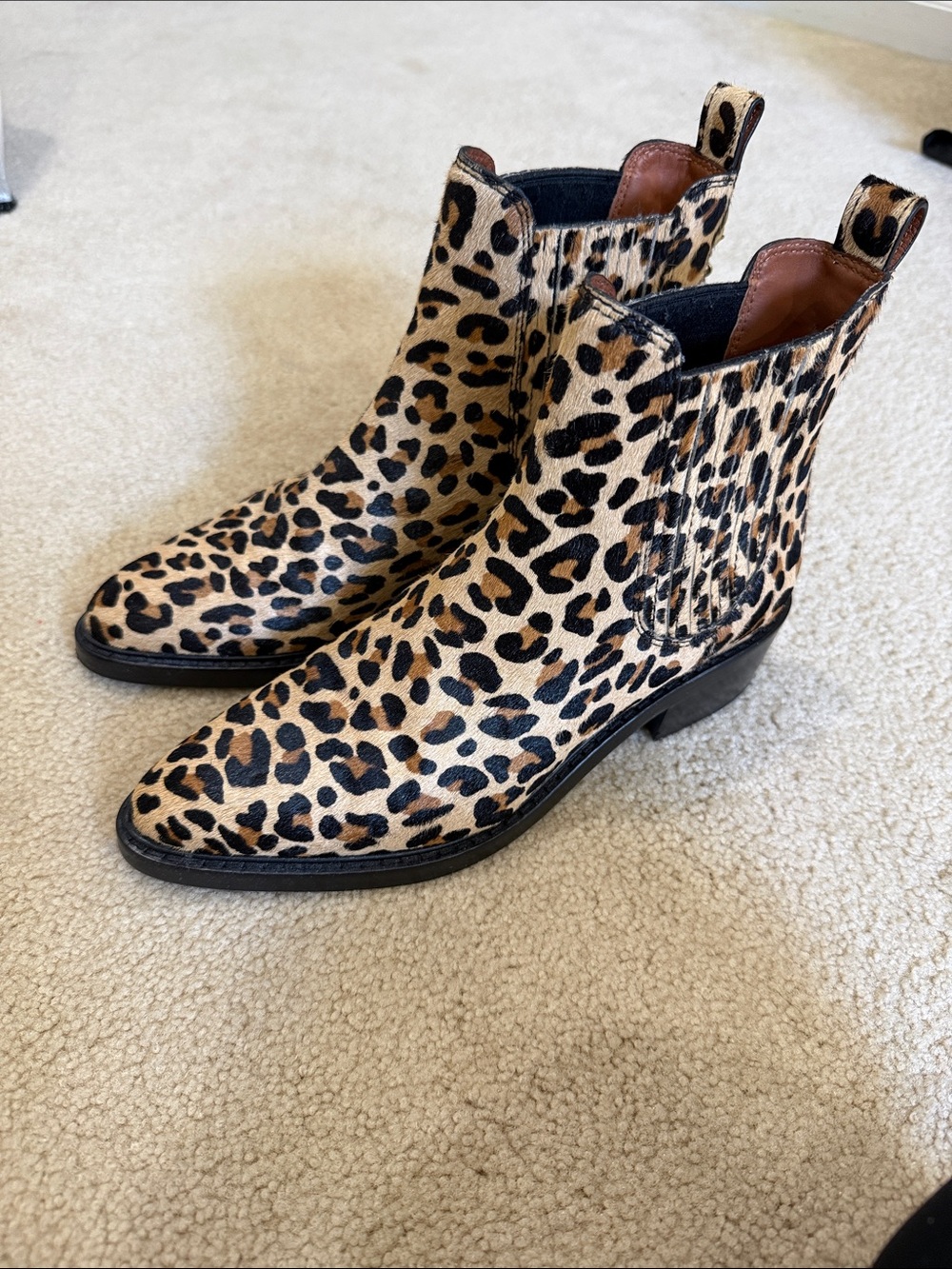 COACH Leopard Print Chelsea Ankle Boots